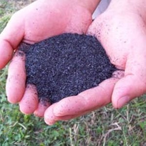 Char-Soil Sample 